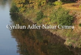 Wales Biodiversity Partnership