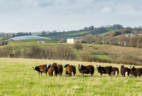 Gardd Fotaneg Genedlaethol Cymru