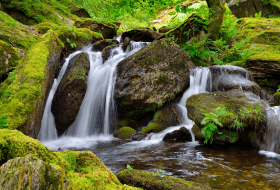 Cyfoeth Naturiol Cymru