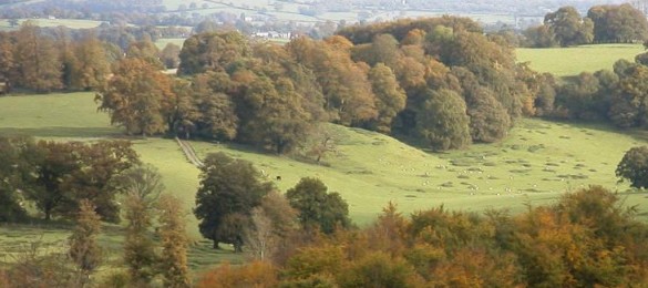 Parc Dinefwr