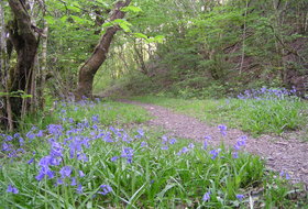 Cyfoeth Naturiol Cymru