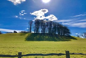 Llywodraeth Cymru