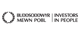 Buddsoddwyr mewn pobl