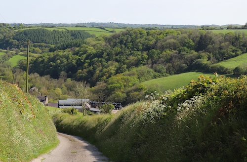 Gwybodaeth i berchnogion tir