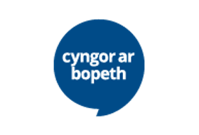 Cyngor ar bopeth