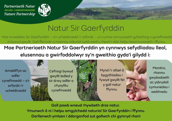 Partneriaeth Natur Sir Gâr. Natur Sir Gaerfyrddin. Mae'r tirweddau Sir Gaerfyrddin - o'r ucheldiroedd i'r arfordir - yn cynnal amrywiaeth gyfoethog a gynefinoedd a bywyd gwyllt. Gall ffermdir a mannau naturiol sydd wedi'u rheoli'n dda helpu bioamrywiaeth i ffynnu. Mae Partneriaeth Natur Sir Gaerfyrddin yn cynnwys sefydliadau lleol, elusennau o gwirfoddolwyr sy'n gweithio gyda'i gilydd i:  Amddiffyn ac adfer cynefinoedd - o'r arfordir i'r ucheldiroedd. Cefnogi bywyd gwyllt ledled y dir drwy adfer a chysylltu cynefinoedd. Mynd i'r afael â bygythiadau i fywyd gwyllt fel y gall natur ffynnu. Monitro rhannu gwybodaeth ac ysbrydoli cymunedau i weithredu. Gall pawb wneud rhywbeth dros natur. Ymunwch â ni i helpu amgylchedd naturiol Sir Gaerfyrddin  i ffynnu.