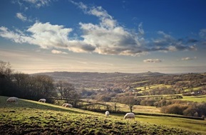 Côd Cefn Gwlad