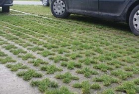 image of Grasscrete is a type of paving made of concrete blocks with open cells that let grass grow through