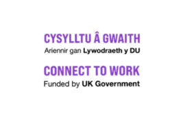 Connect to work logo