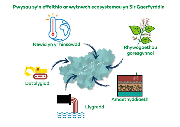 Pwysau sy'n effeithio ar wytnwch ecosystemau yn Sir Gaerfyrddin - Newid yn yr hinsawdd - Rhywogaethau goresgynnol - Amaethyddiaeth - Llygredd - Datblydiad
