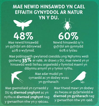 Mae Newid Hinsawdd yn cael effaith gynyddol ar natur yn y DU. 48% - Mae newid hinsawdd yn gyfrifol am ddirywiad 40% o wyfynod. 60% - Newid hinsawdd sy'n gyfrifol am gynnydd 60% o lyslau. Mae poblogaeth gwylanod coesddu yng Nghymru wedi godtwng 35% er 1986. Ar draws y DU, mae newid yn yr hinsawdd wedi lleihau argaeledd y llymrïod maent yn dibynnu arnynt yn y tymor nythu. Mae adar mudol yn cyrraedd ac dowdy wyau yn gynhyrach: Mae gwenoliaid yn cyrraedd y DU 15 diwrnod ynghynt ac yn nythu 11 diwrnod ynghynt nag y gwnaethon nhw yn 1960au. Mae titwod mawr yn dowdy eu hwyau ar gyfartaledd 11 diwrnod yn gynharach nag y gwnaethon nhw yn 1968.