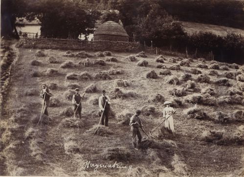 Ffotograff o grŵp o ddynion a menywod yn gwneud gwair.