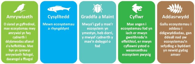 Amrywiaeth - O siarad yn gyffredinol mae ecosystemau mwy amrywiol yn fwy cydnerth i ddylanwadau allanol a'u heffeithiau. Mae hyn yn cynnwys amrywiaeth fiolegol, daearegol a ffisegol. Cysylltedd - Mewn ecosystemau a rhyngddynt. Graddfa a Maint - Mwya'i gyd y mae'r ecosystem yn ymestyn, heb dorri, y mwyaf cydnerth y mae'n debygol o fod. Cyflwr - Mae angen i ecosystemau fod yn iach er mwyn gweithredu'n effeithiol, er mwyn cyflawni ystod o wasanaethau ecosystem pwysig. Addasrwydd - Gallu ecosystemau i adddasu i ddigwyddiadau, gan ddeall nad yw ecosystemau'n sefydlog a byddant yn newid gydag amser.